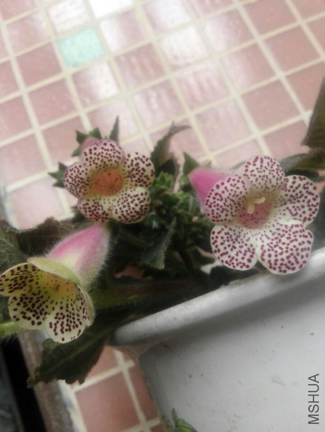 QQͼƬ20150324112659.jpg