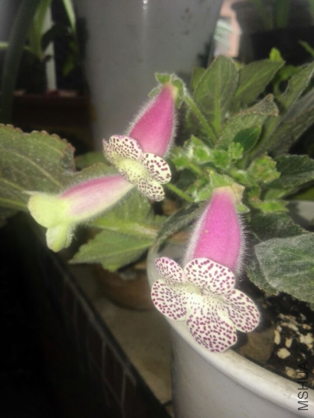 QQͼƬ20150324112705.jpg