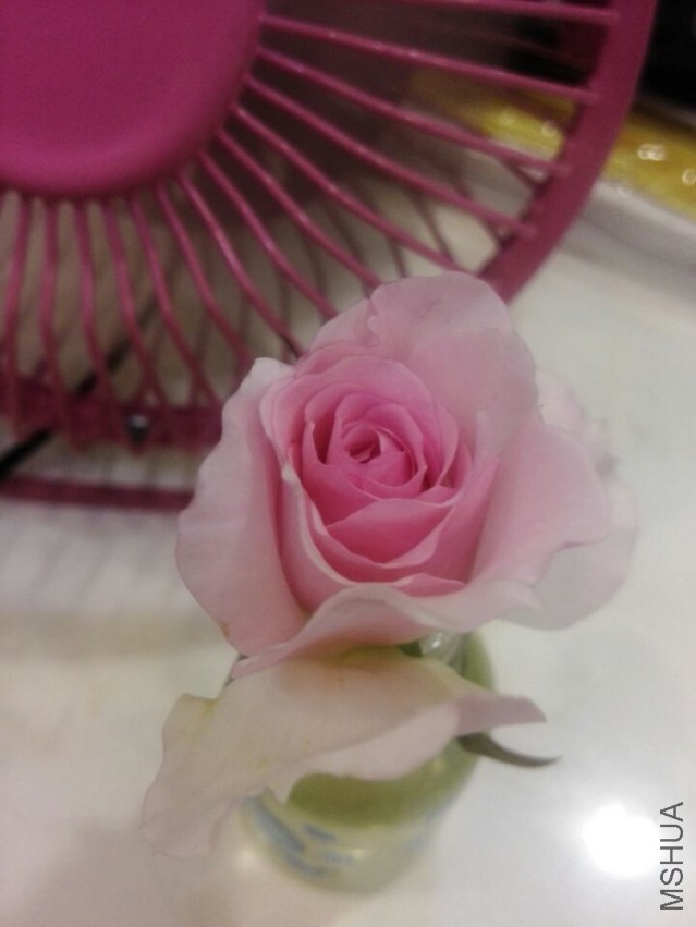 QQͼƬ20150324113911.jpg