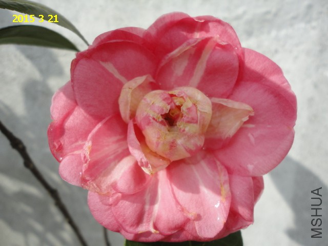 DSC06473.JPG