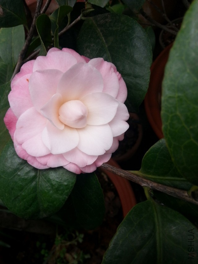 20140313_161932.jpg