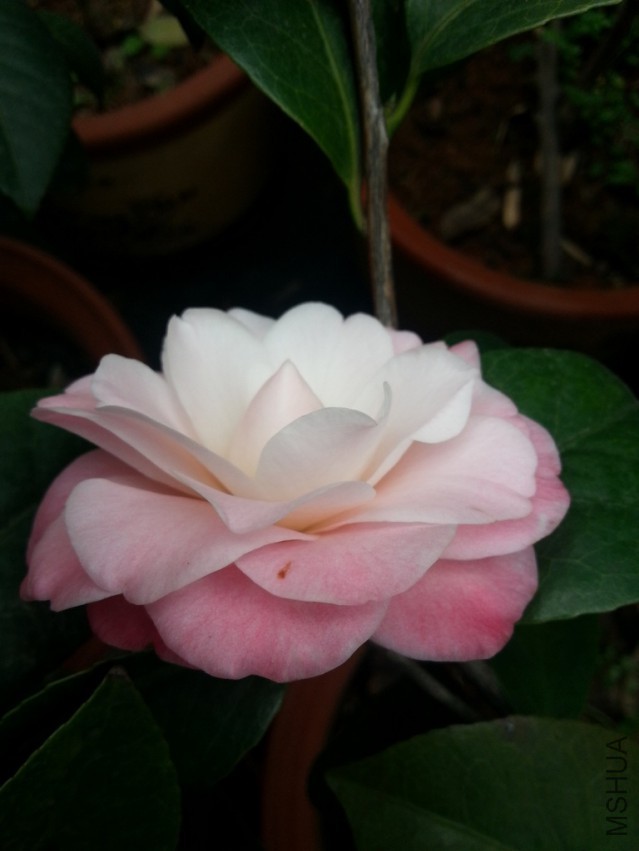 20140313_162444.jpg