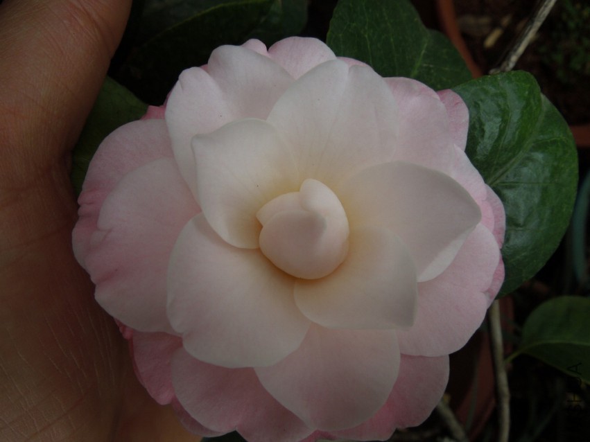 DSCN4128.JPG