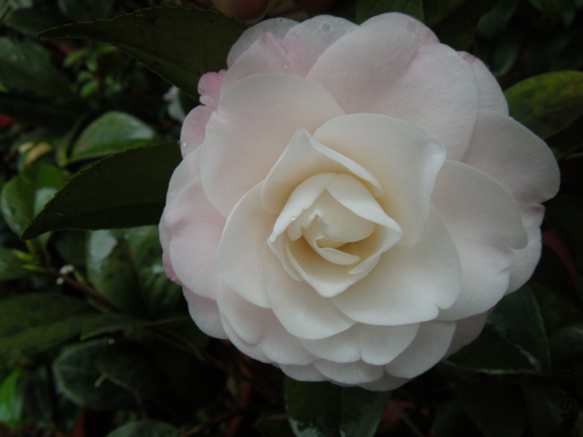 DSCN4716.JPG