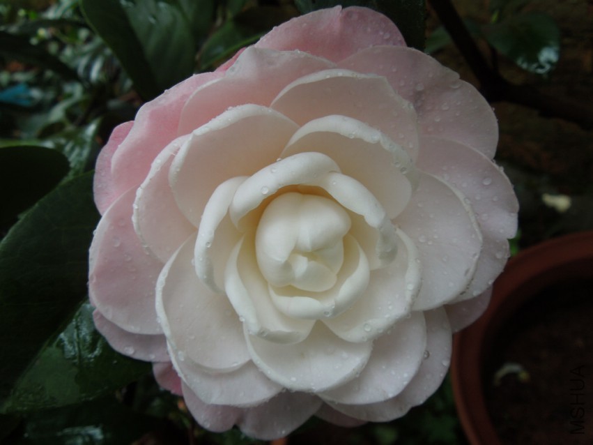 DSCN4799.JPG