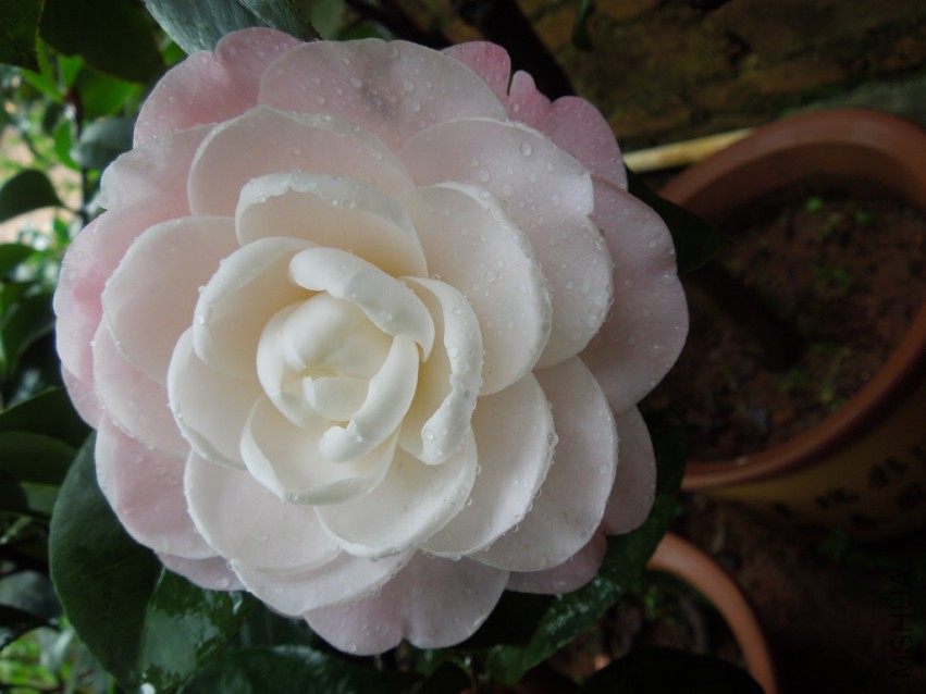 DSCN4801.JPG