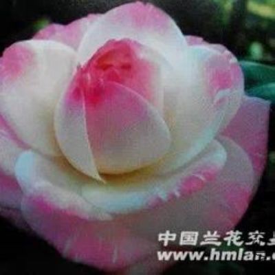 756fee8a-3124-483d-910b-154fe9e0f703.jpg