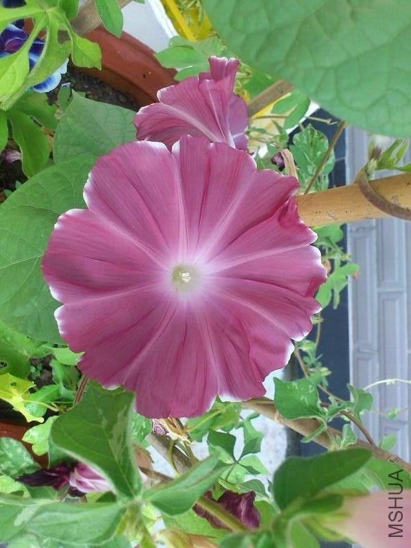 QQͼƬ20150324171735.jpg