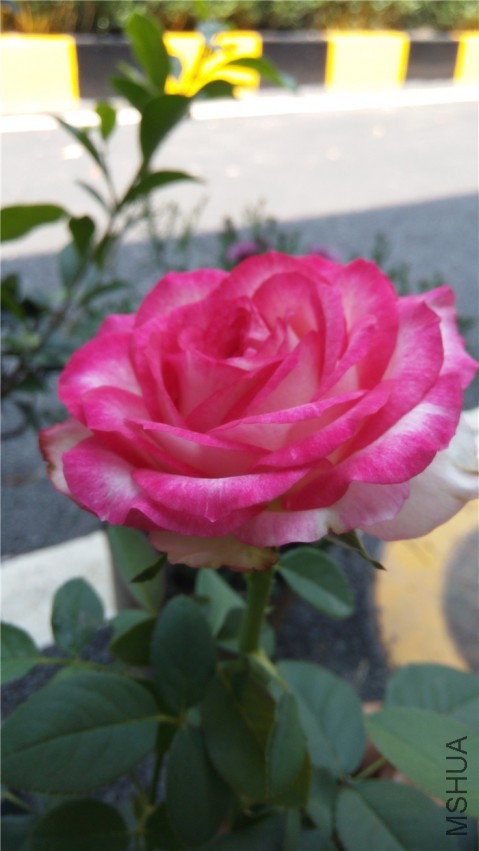 20140806151054.jpg