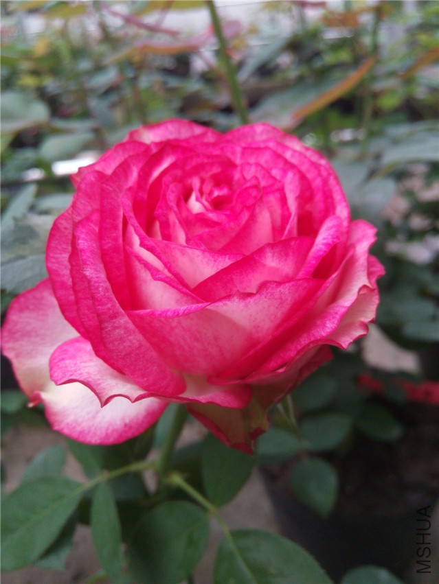 20140930102528.jpg