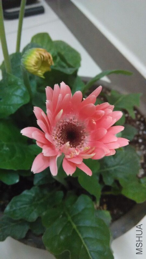 QQͼƬ20150325003800.jpg