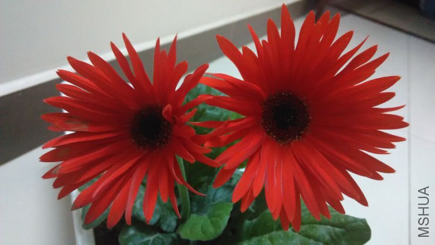QQͼƬ20150325003806.jpg