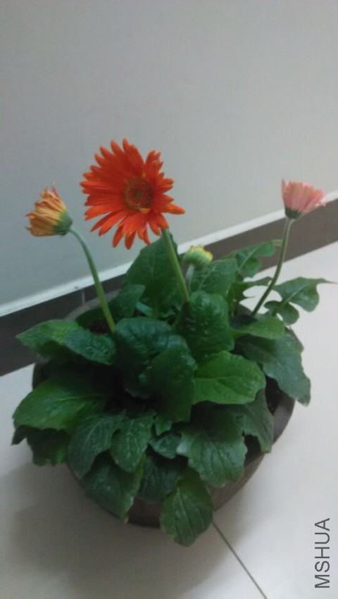 QQͼƬ20150325003817.jpg