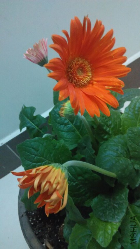 QQͼƬ20150325003811.jpg