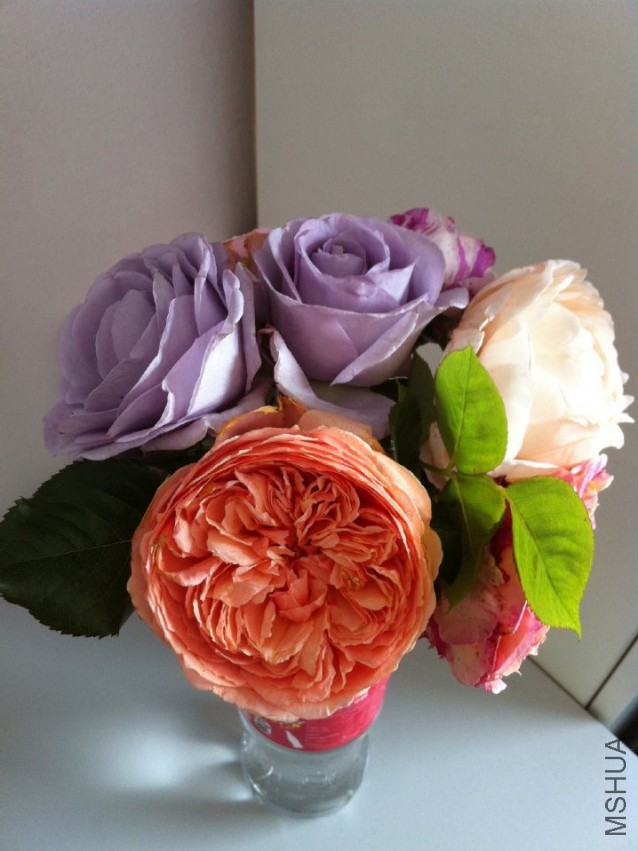 QQͼƬ20150324161825.jpg