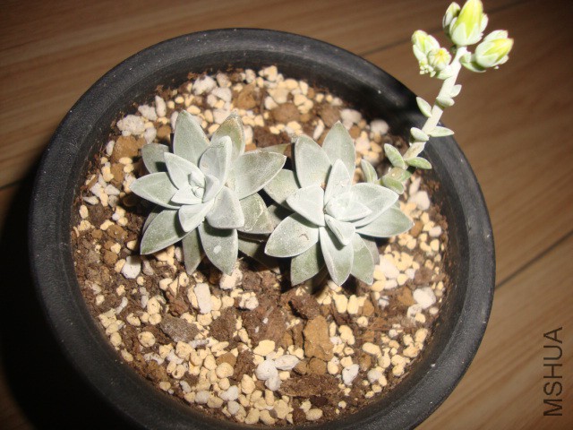 DSC03763.JPG
