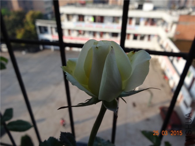 DSC06873_����.jpg