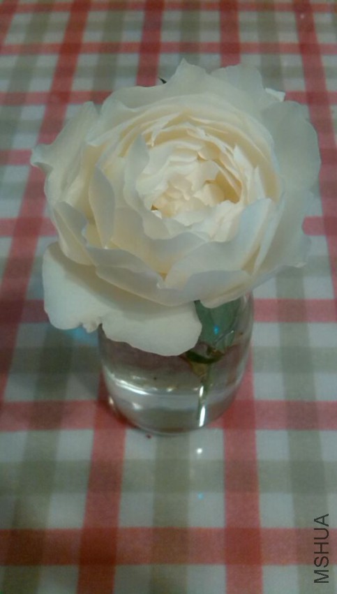 QQͼƬ20150326100134.jpg