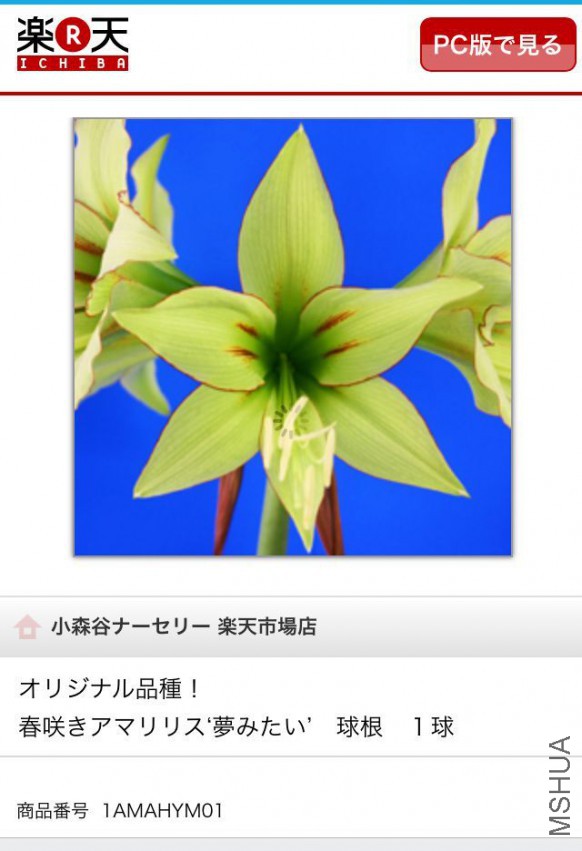 QQͼƬ20150326101933.jpg