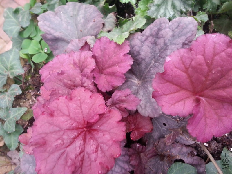20150315_094746.jpg