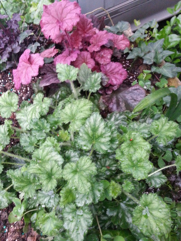 20150318_175120.jpg