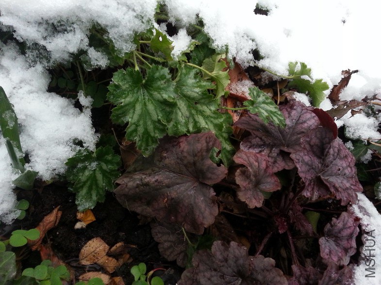 �½��ļ��� (9)20150201_083514_��С��С.jpg