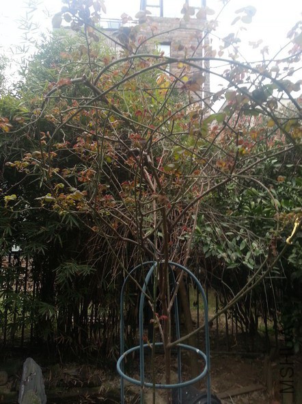 �½��ļ��� (9)20150314_081505_��С��С.jpg