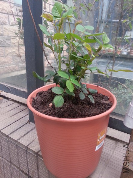 �½��ļ��� (9)20150223_145230_��С��С.jpg