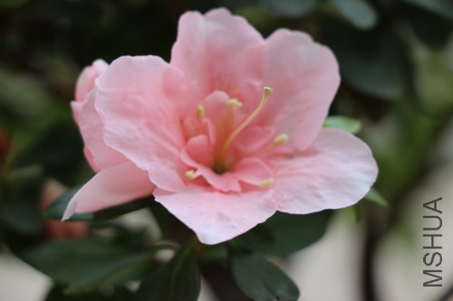 DPP_00438.JPG
