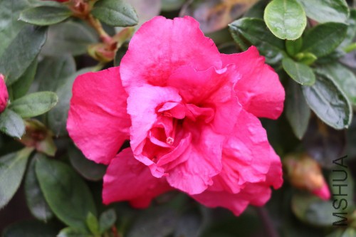 DPP_00440.JPG