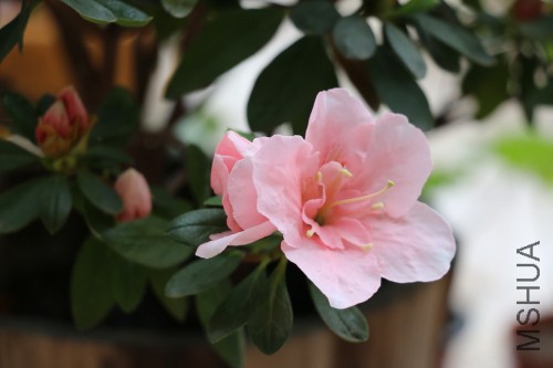 DPP_00426.JPG