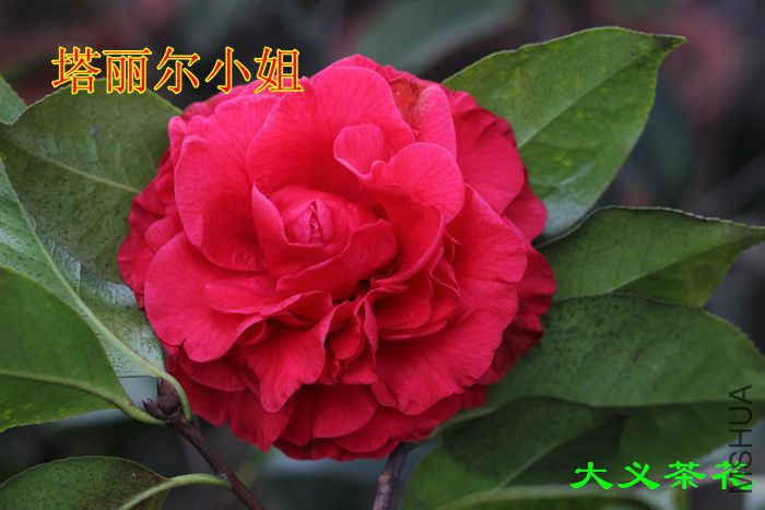 ������С ��.jpg