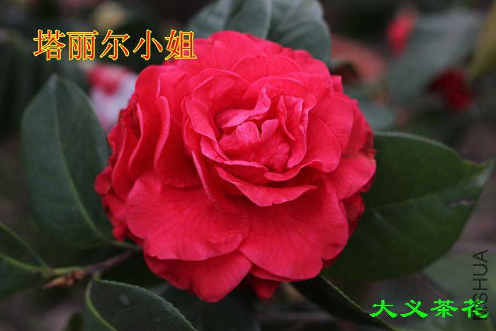 ������С ��1.jpg