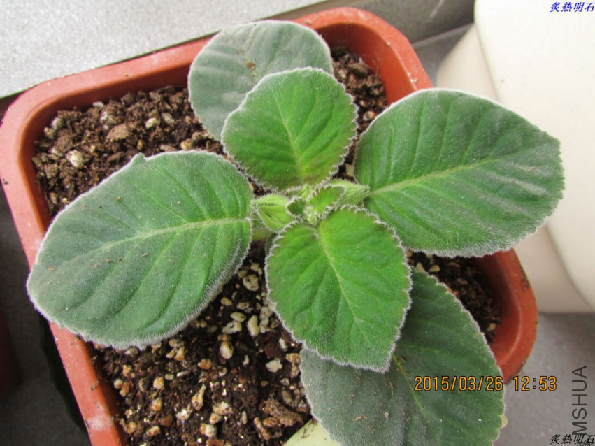 �׻��ϱ߰���