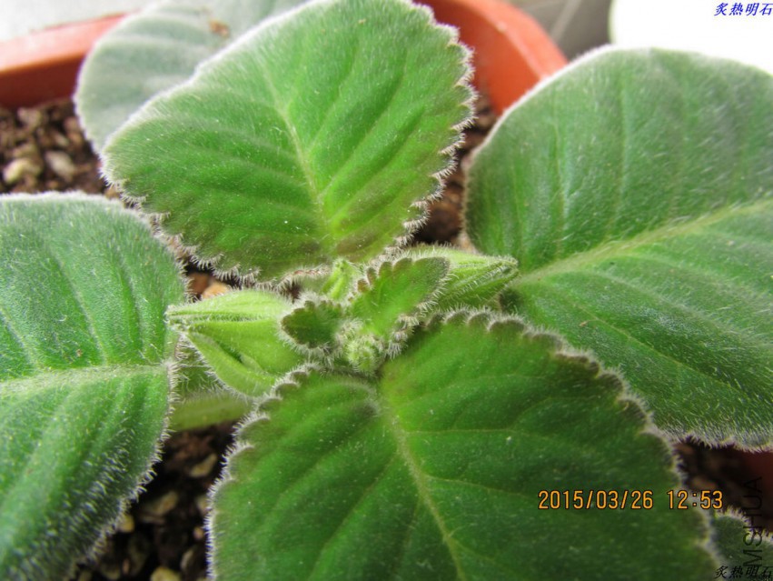 �׻��ϱ߰���