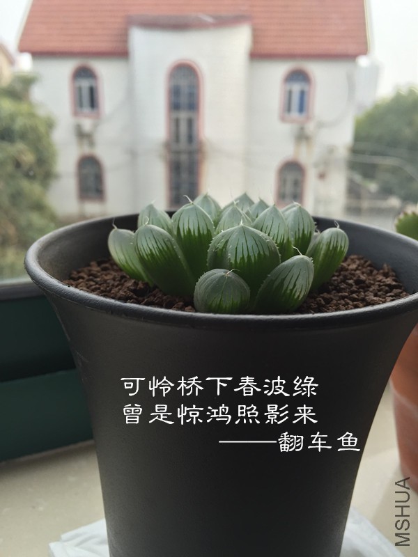 ˭���뵽����һ��5��Ǯ��������¶���ɳ��ľ�ϲ~