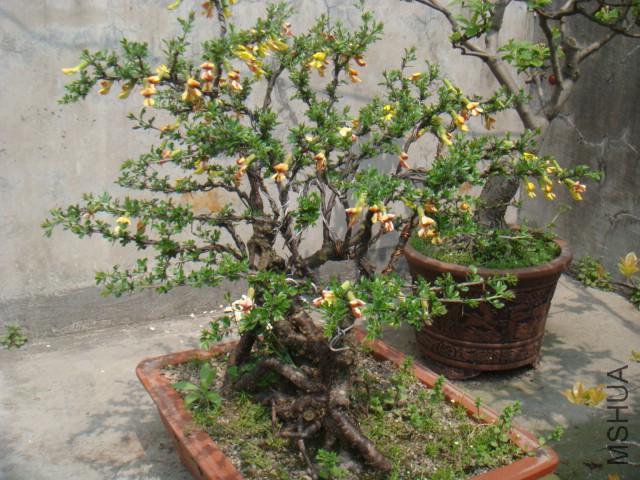 DSC07178.JPG