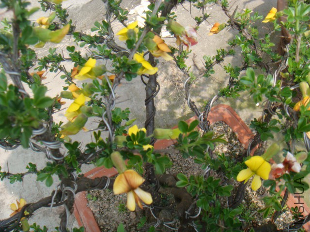 DSC07179.JPG