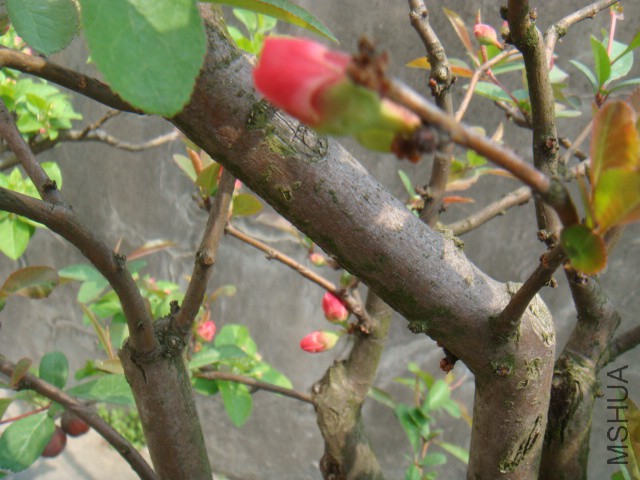 DSC07180.JPG
