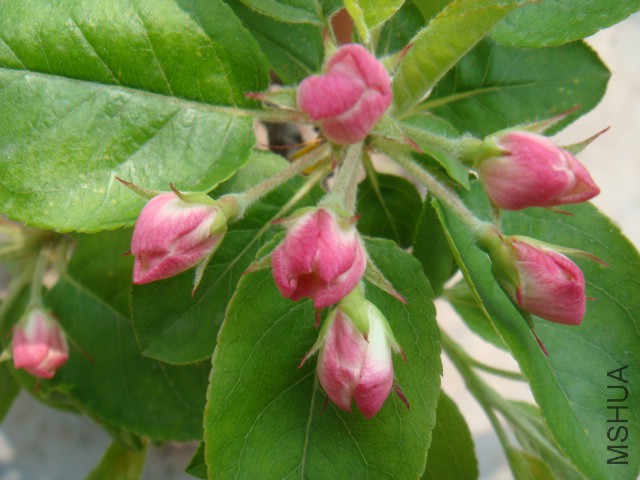DSC07183.JPG