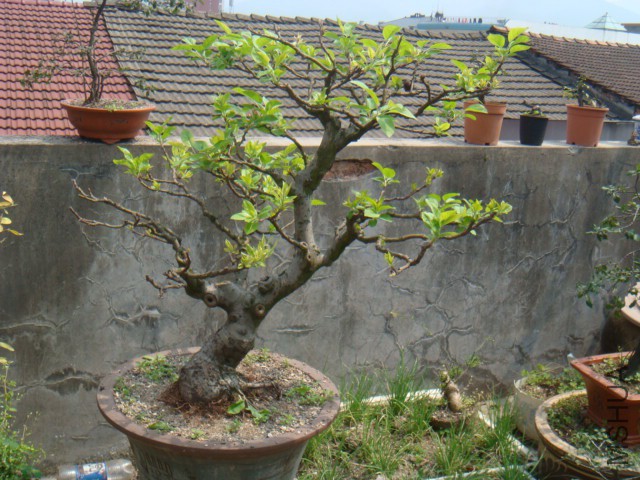 DSC07189.JPG