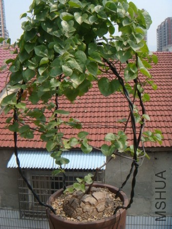 DSC07192.JPG