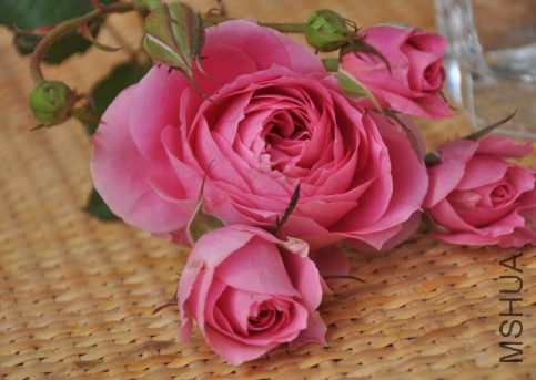 QQͼƬ20150328093726.jpg