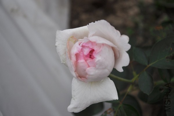 DSC_0644.jpg