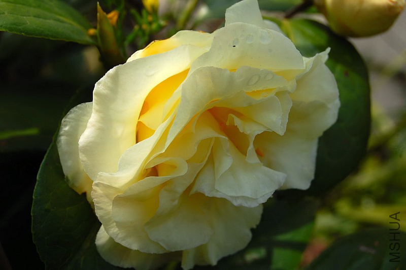 DSC_02110211.JPG