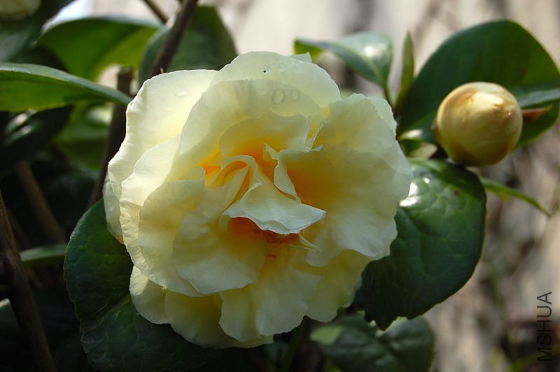 DSC_02040204.JPG