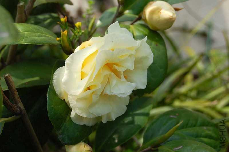 DSC_02060206.JPG