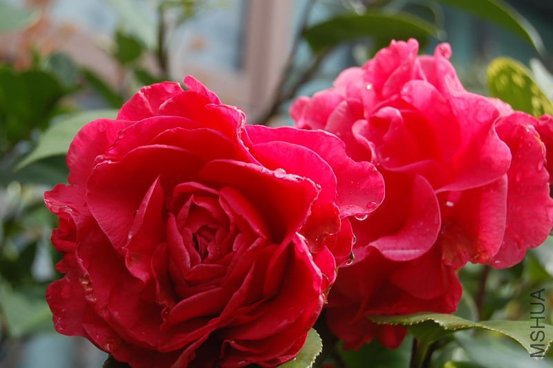DSC_00120012.JPG