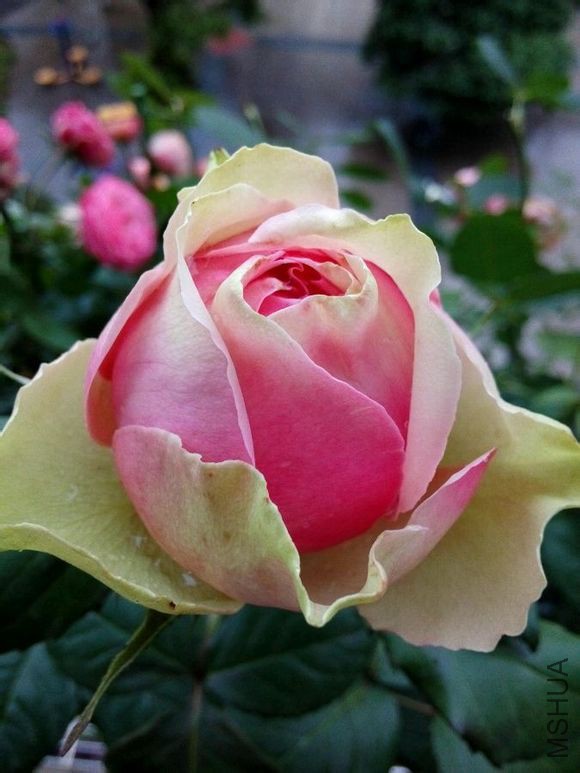 81cb39dbb6fd5266af0d5599a918972bd407361c.jpg