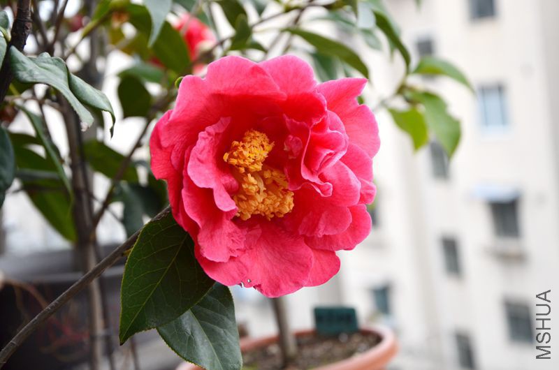 DSC_3248.JPG